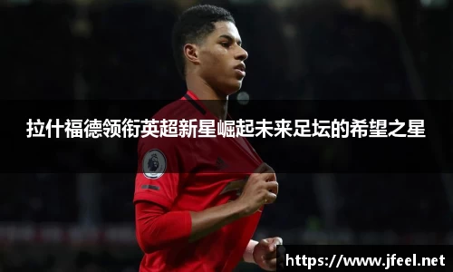 DG视讯官网